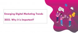 Innovations Unleashed: Emerging Digital Marketing Trends 2023