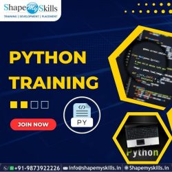 Enhance Your Coding Skills in Python at ShapeMySkills