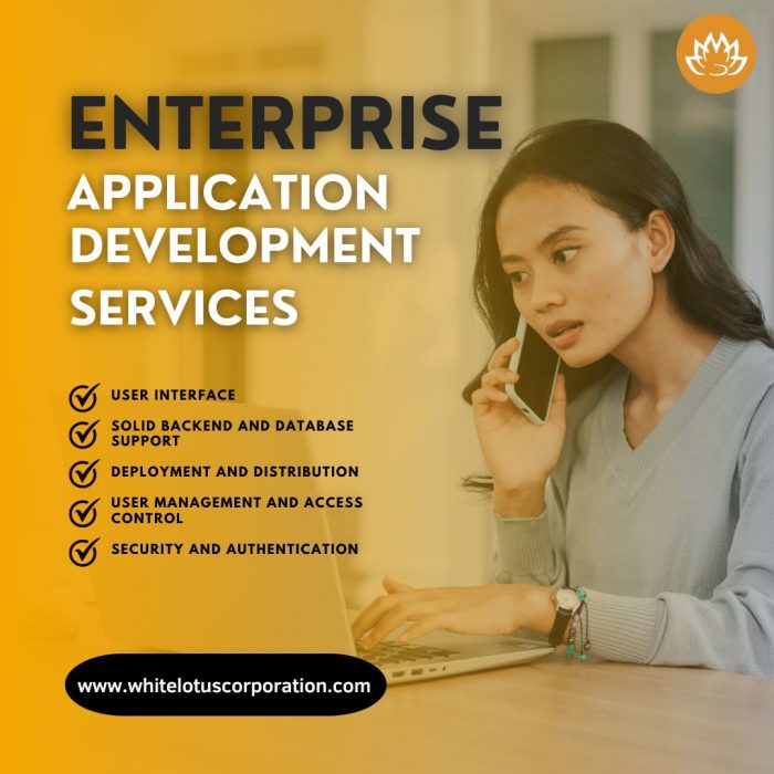 Enterprise Application Development Company