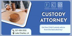 Expert Guidance on Custody Rights