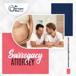 Navigating Surrogacy Legally: Surrogacy Attorney Services | MySurrogateMom
