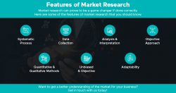 Feature of Market Research