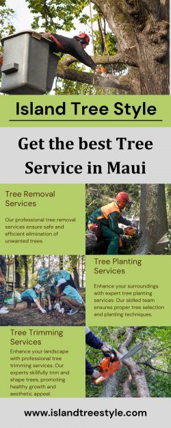 Best Maui Tree Company In Hawaii – Island Tree Style