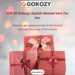 Gift Of Gokozy: Stylish Heated Vest For Her