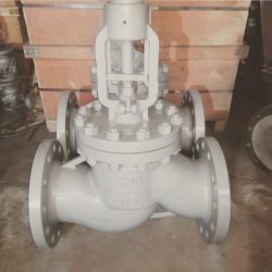 globe valve manufacturer