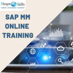 Grow Your Career SAP MM Online Training at ShapeMySkills