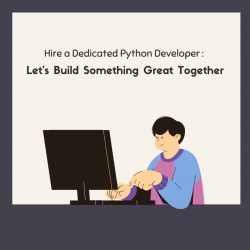 Hire a Dedicated Python Developer : Let’s Build Something Great Together