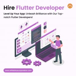 Hire Flutter Developer