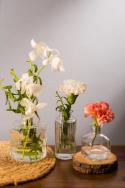 Stunning Glass Home Decor: Explore the Alluring Fun Glass Bud Vase Set at SG Home