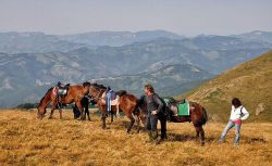 Saddle Up for Unforgettable Horse Riding Adventures in the Balkans