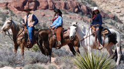 Discover Nature’s Beauty with Horseback Adventure Rides