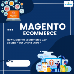 Transform Your E-commerce with Scadea Magento Development