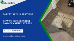 How to repair carpet damage caused by pets