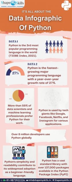 It’s All About the Data Infographic of Python