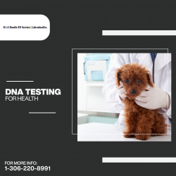 DNA testing for health
