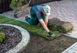 Small Space Landscaping: Maximizing the Potential of Tiny Yards