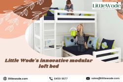 Little wode for kids modular loft bed in Singapore