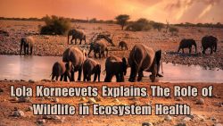 Lola Korneevets Explains The Role of Wildlife in Ecosystem Health