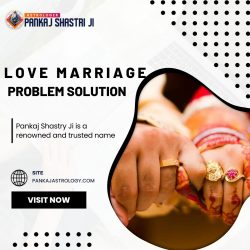 Who Is The Best Astrologer To Get Love Marriage Problem Solution?