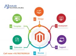 Magento Development Company Dwarka