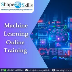 Master Machine Learning with Online Training at ShapeMySkills