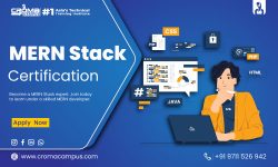 What is The Future Of MERN Stack Development?