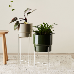 Buy Stylish Metal Plant Stand at The Jungle Collectives