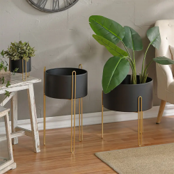 Elevate with Style: Discover the Elegance of Metal Plant Stands