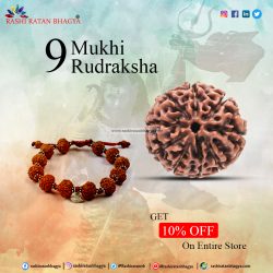 Shravan mah sale get 10% discount on entire 9 Mukhi Rudraksha Beads