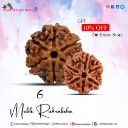 Get 10% Discount Buy 6 Mukhi Rudraksha Beads this Shravan Maas
