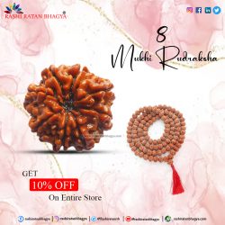 Get 10% off 8 Mukhi Rudraksha Online from Rashi Ratan Bhagya