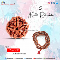 Get 10% off 5 Mukhi Rudraksha Online from Rashi Ratan Bhagya