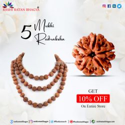 Get 10% off 5 Mukhi Rudraksha Online from Rashi Ratan Bhagya