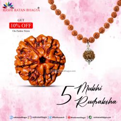 Buy 5 Mukhi Rudraksha Online in India Get A 10% Discount