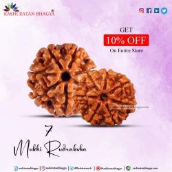 Get 10% Discount Buy 7 Mukhi Rudraksha Beads this Shravan Maas