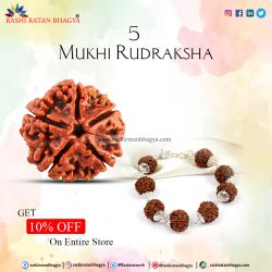 Get 10% Discount Buy 5 Mukhi Rudraksha Beads this Shravan Maas