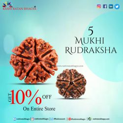 Buy Original 5 Mukhi Rudraksha in Shravan Maas and get 10% off