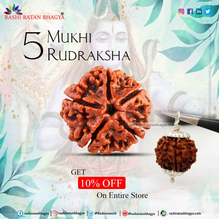 Rashi Ratan Bhagya offer you 10% discount on 5 Mukhi Rudraksha