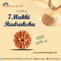 Get 10% Discount | 7 Mukhi Rudraksha Beads | Rashi Ratan Bhagya