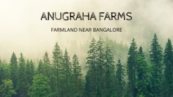 Anugraha Farms: Premier Managed Farmlands Solutions