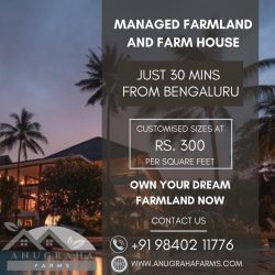 Agricultural Land for Sale in Bangalore – Unlock Prosperity