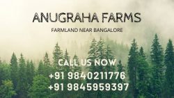 Buy Farmland Near Bangalore – Invest Wisely: Anugraha Farms