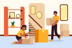 Packers and Movers in Marathalli: Experience Stress-Free Moving