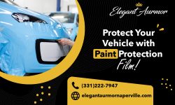 Get Professional Paint Protection Film Services!