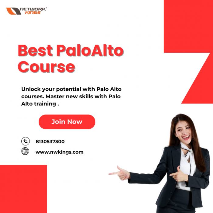 Best PaloAlto Course