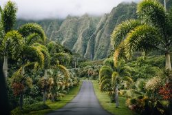 Ascending Paradise: Hawaii’s Majestic Mountain Landscapes
