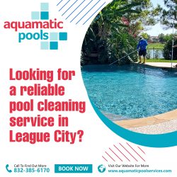 Pool Cleaning Service in League City