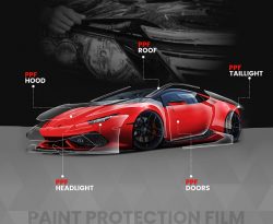 Discover Unparalleled Paint Protection with ProTouch in Auckland!