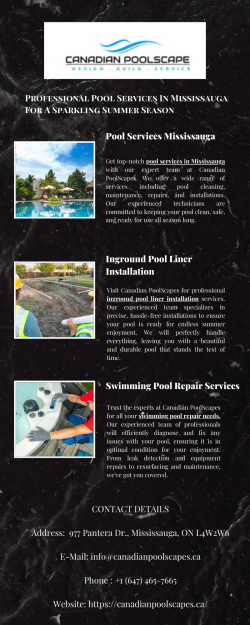 Get Trustworthy Pool Services In Mississauga