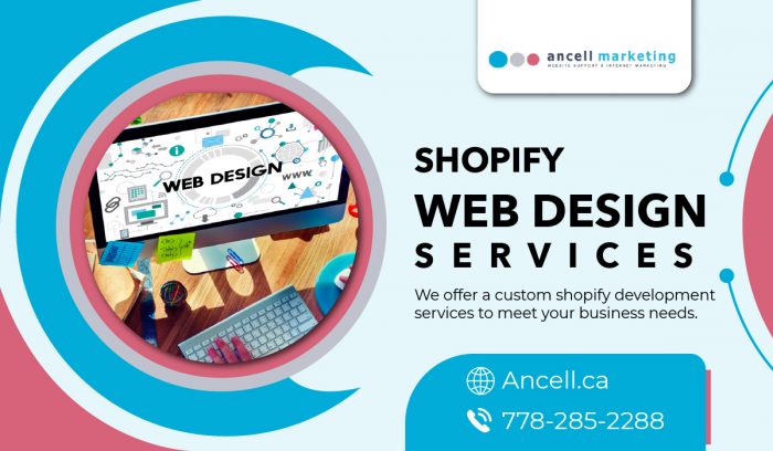 Professional Shopify Web Design Service